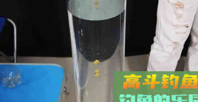 鱼饵鲫大师的入水效果，这样的效果能上鱼吗