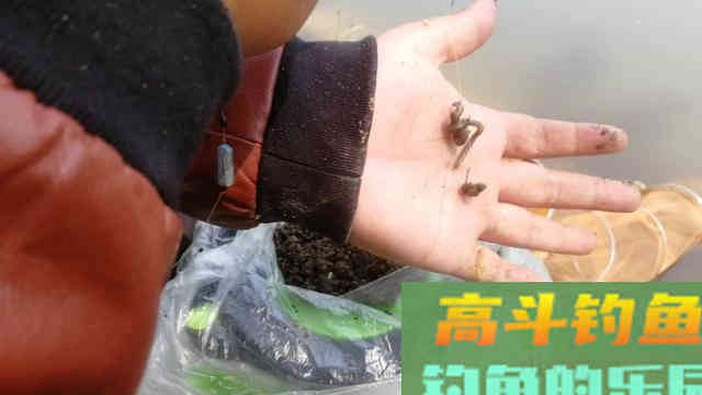 详解使用蚯蚓钓鱼有何优势及调漂方法