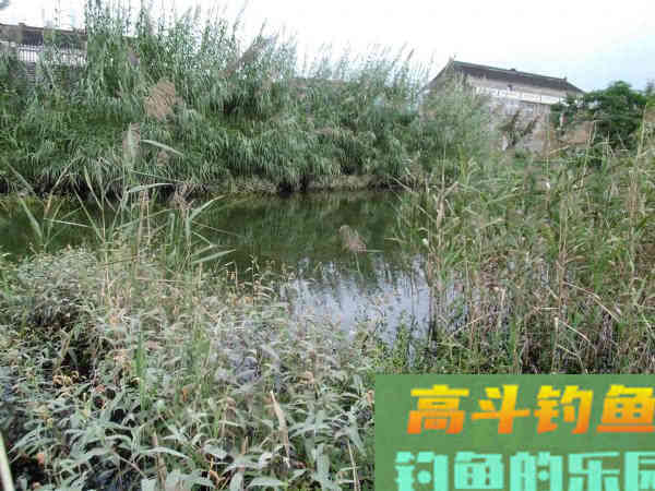 冷天钓鱼别只单挂蚯蚓红虫，多一个小步骤事半功倍
