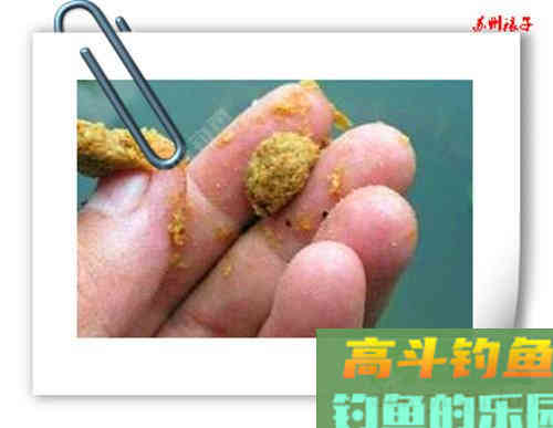 夏天大鱼诱惑之搓饵，高手探讨饵料