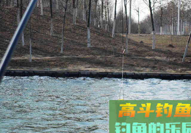 钓鱼打窝绝学分享，诱鱼不理想的钓友看过来