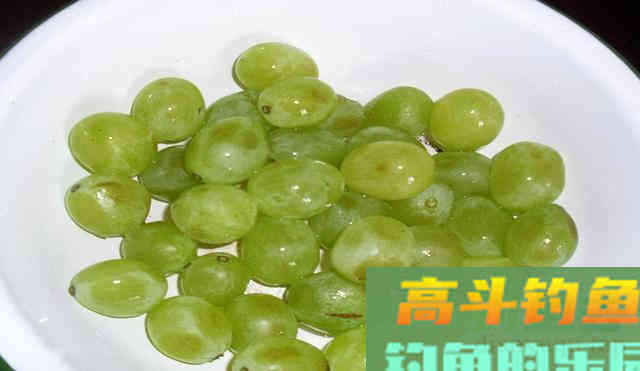 垂钓草鱼青鱼，试试这款水果饵料，钓鱼效果包你满意