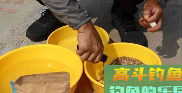 不同季节钓鱼小药怎么选才能爆护？高手点点分析