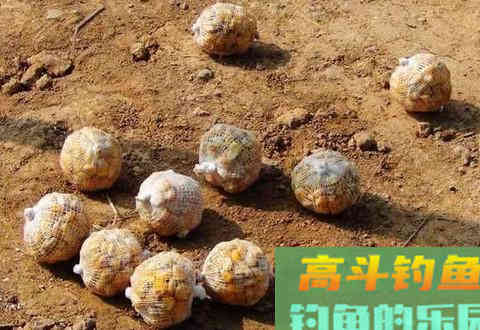 一定要知道的冬季打窝诱鱼的几大技巧