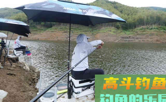 春季钓鱼，如何找窝、做窝、补窝？办法都在这