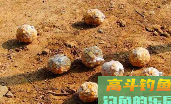 科学打窝，钓得更多！这几种更留鱼的打窝方法