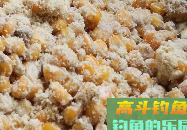 啤酒不仅可以喝，还能拿来钓鱼，附三种用法