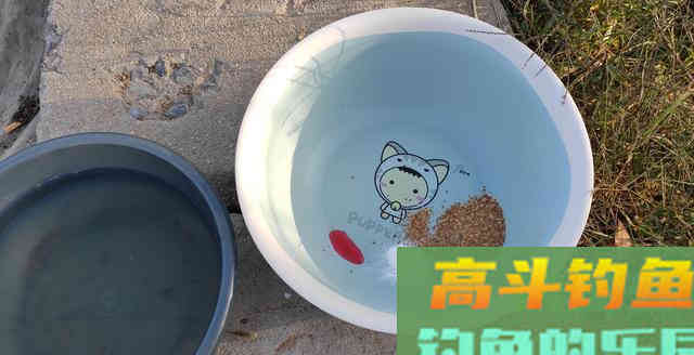 钓鱼小药的应用是否违背初心，要从添加剂本身说起