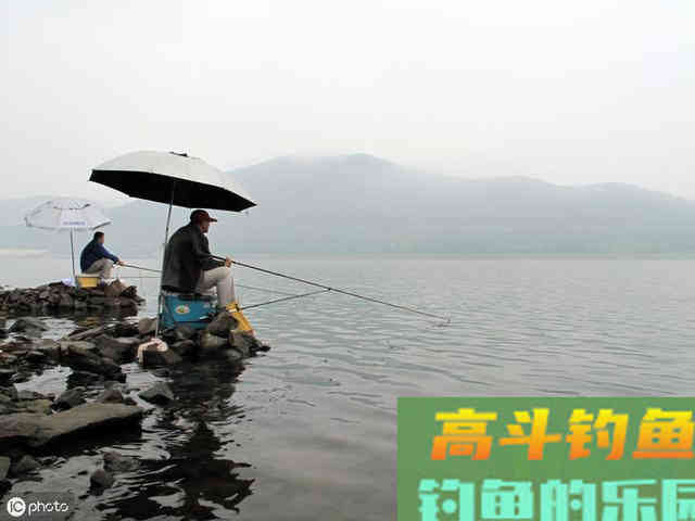 秋季用虾粉钓大板鲫，效果很突出
