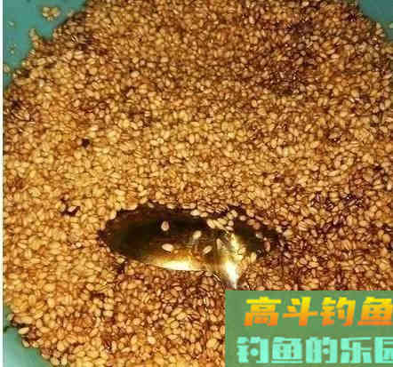 打窝不聚鱼，其实多半还是窝料味型的锅