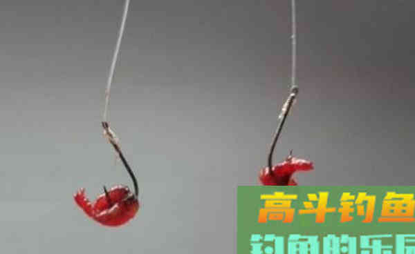 晚秋钓鲫鱼，红虫饵料的4种挂钩方法，助你连竿