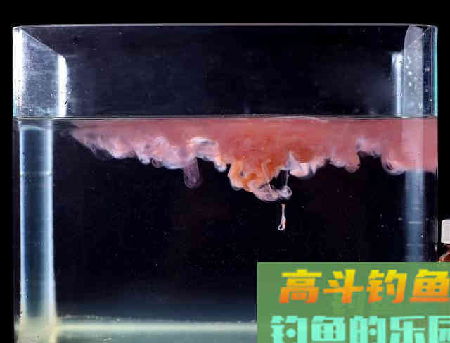 红虫和虾饵都不能用小药？别信，事实饵料均需添加剂