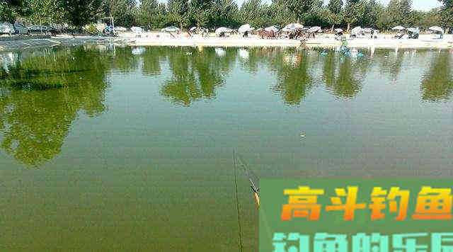 饵料之中为什么要加盐？很多钓鱼人都不知道是什么原理