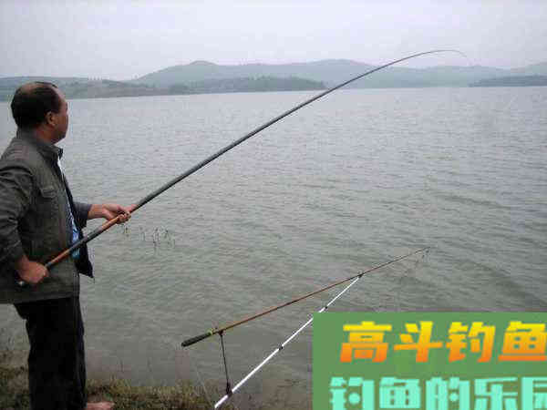 如何制作玉米粒钓饵？如何选点打窝与玉米粒使用技巧