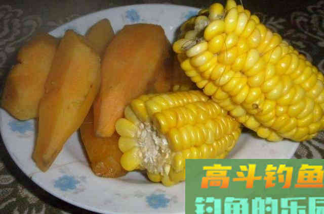 秋分后，钓鲤鱼这些饵料都挺好用的