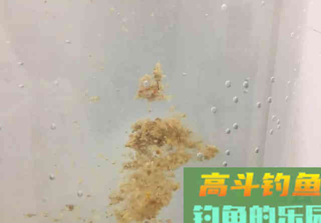 5款饵料4个配方，秋冬钓鲫鱼专属