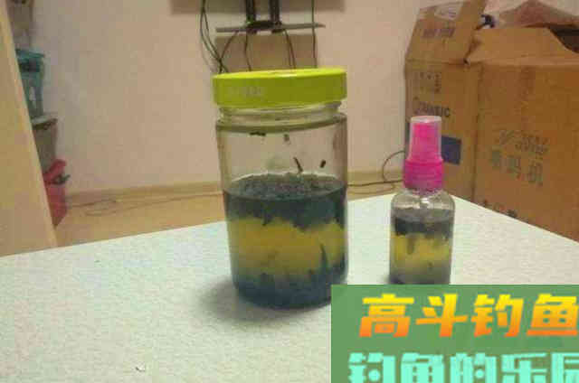 钓鲫鱼不花钱的小药，可以在饵料中添加效果好