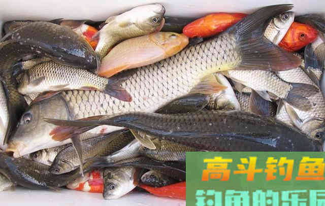 钩饵在水底的五种状态