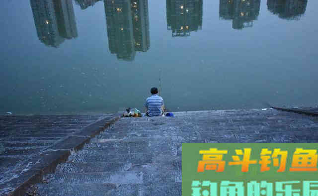 冬季打窝来鱼慢？不是窝料味道差，不是钓位不够好