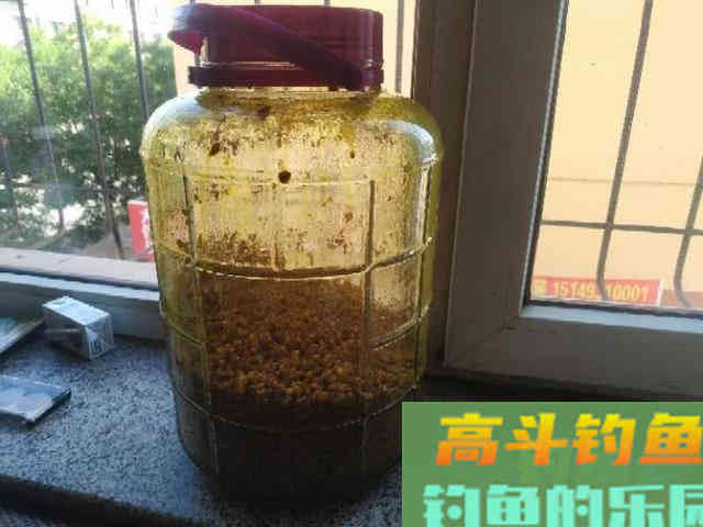 自制一款经济实用的小麦诱饵，会用的钓鱼人不多