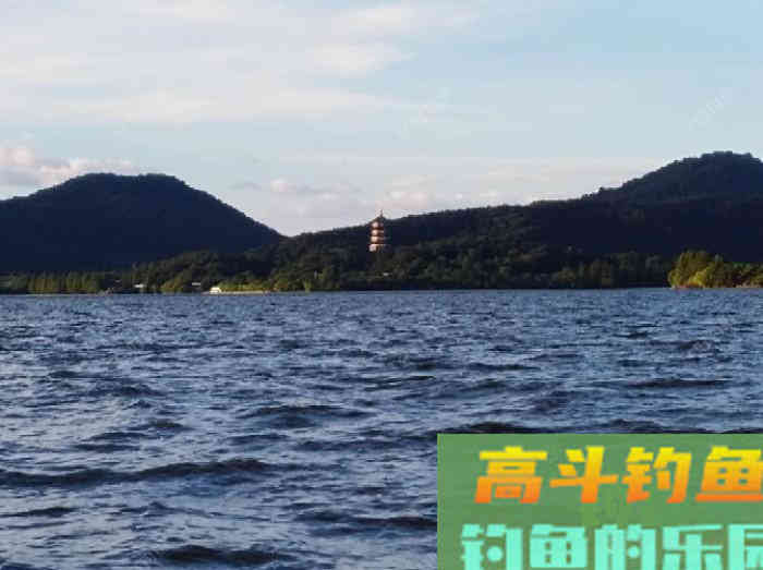以身言教开饵问题，钓鲫鱼的拉饵或搓饵