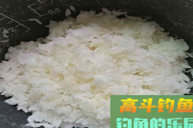 米饭饵怎么制作？米饭饵适合什么鱼情