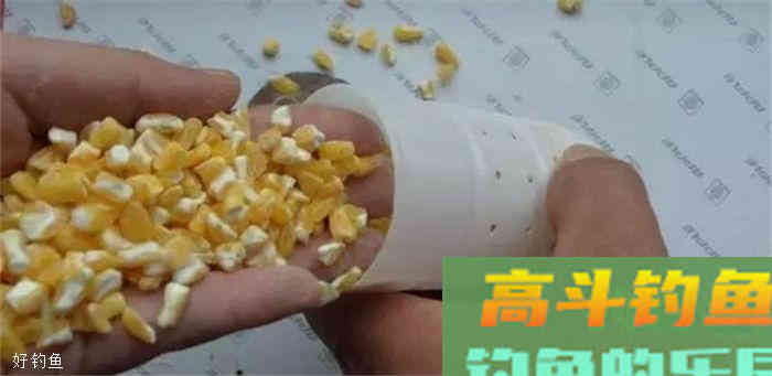 窝里明明有鱼就是不吃钩，高手告诉你怎么办