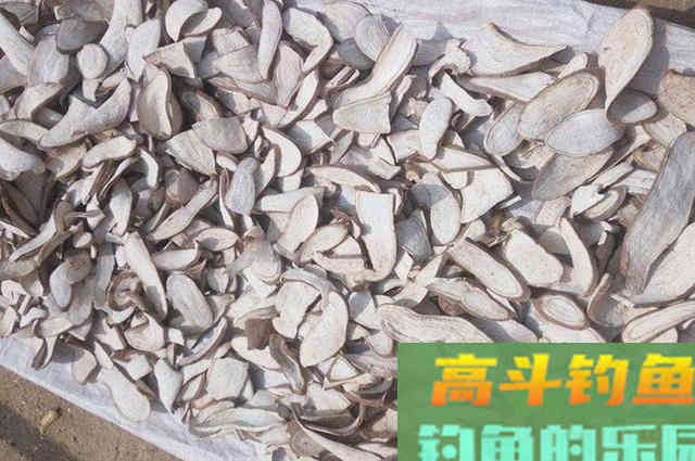 特效诱鱼小药配方分享，垂钓鲫鱼鲤鱼必备，黑坑野钓都能用