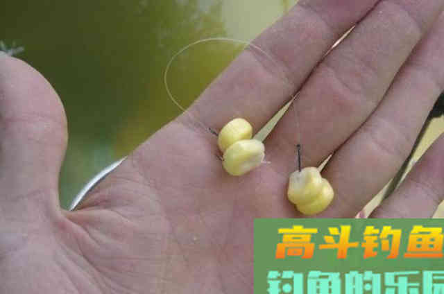 六月后，我就只想用这草鱼尿性饵