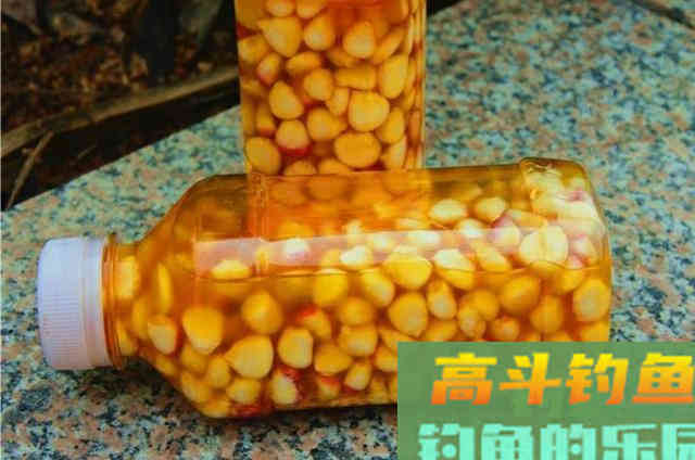 转钓大草鱼的饵料，每次一大盘不够用
