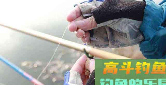 秋季鱼饵还有这么多自制配方，牛人传授出来的
