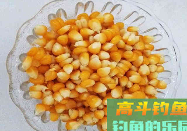 这样自制钓鱼酒米，满满一大盆成本不到50块