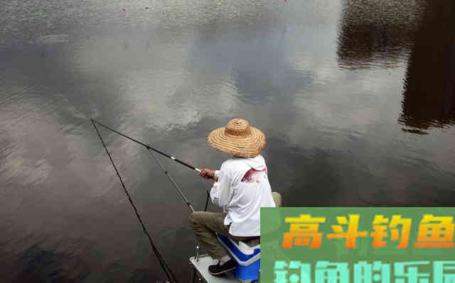 想要鱼上岸，就拿饵料换