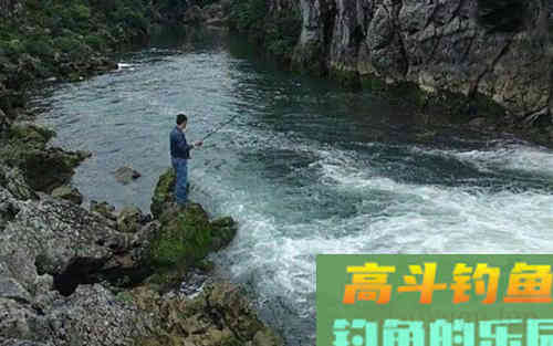 使用轻质饵，没有多复杂，记住三二一就可以了