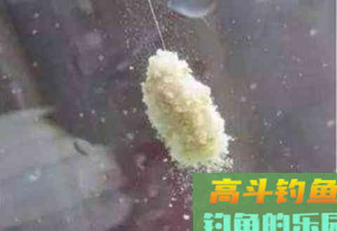 资深钓鱼人让你秒变开饵高手