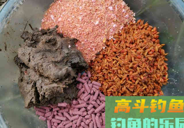 同样是酒米打窝，只因多加了2把黄泥就多钓几条