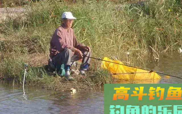 打窝的这些错误做法，浪费窝料还钓不到鱼