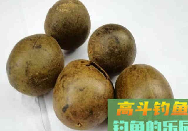 秘制饵料配方分享，鲫鱼鲤鱼通杀