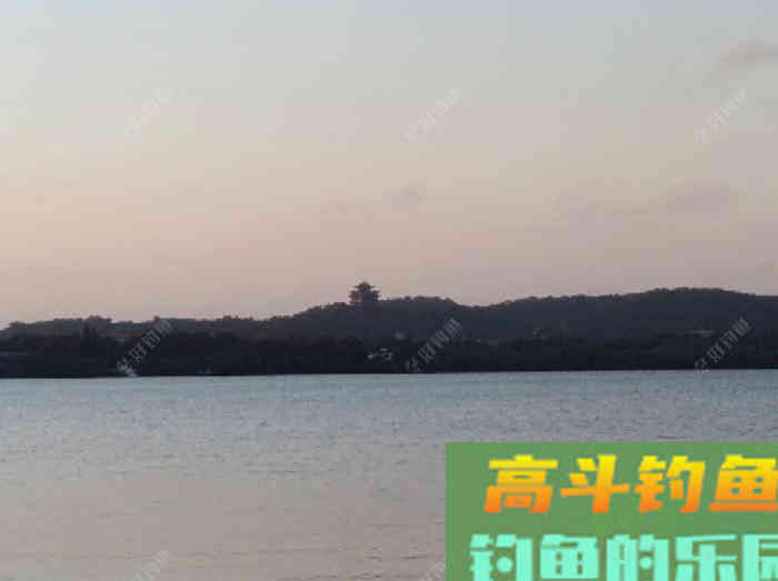 以身言教开饵问题，钓鲫鱼的拉饵或搓饵