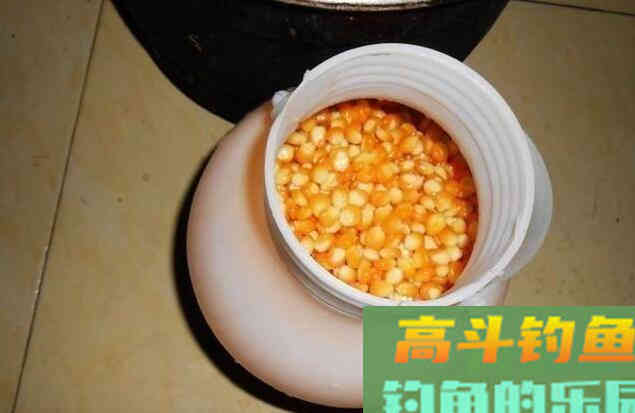 嫩玉米钓鱼需不需要煮熟？野钓客告诉你！