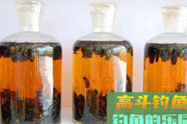 钓鱼用饵，加小药就是个坑？告诉你正确的打开方式