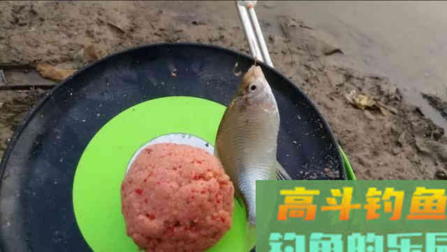 减淡饵料味型避小鱼，那你就错了