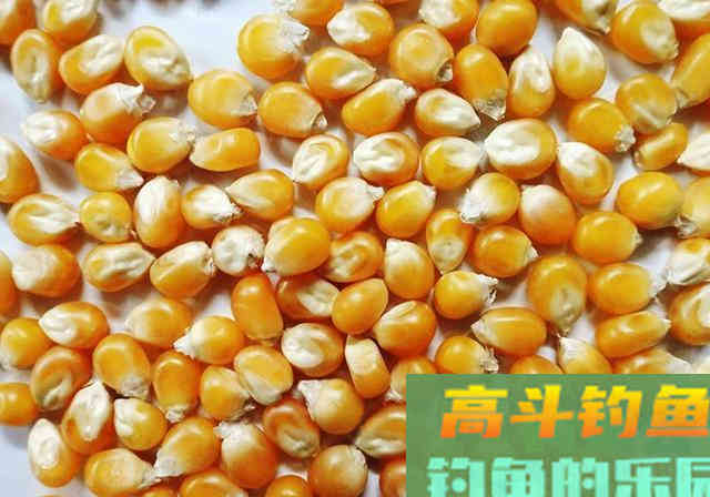 自制发酵窝料不求人，制作方法和配方在这里，效果好
