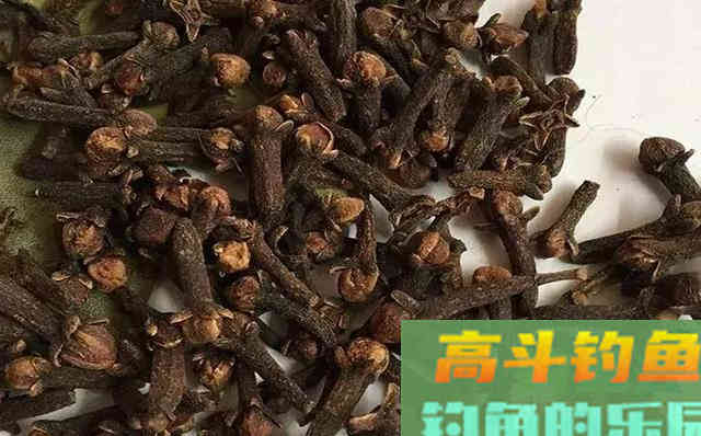 钓鱼小药诱鱼快聚鱼多，制作简单成本低