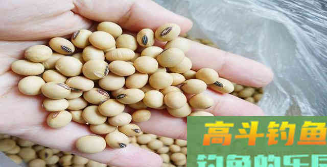 自制重口味窝料配方分享，湖库钓大鱼必备