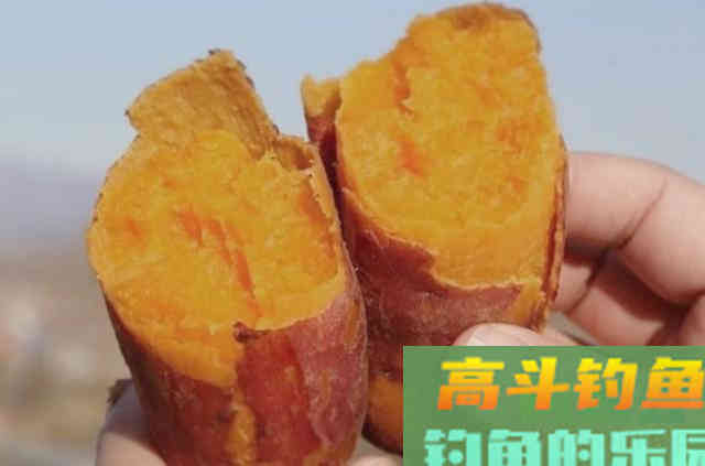 钓鲤鱼的实用饵料，抢手货头一次用就过了瘾
