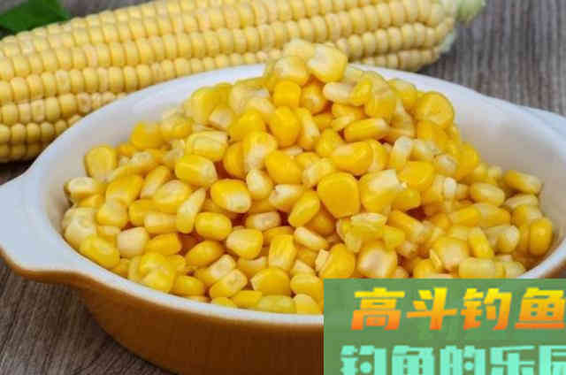 这才是玉米饵最牛的用法秘诀，猛拔鲤鱼十拿九稳