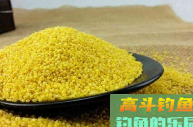 酒米窝料不够怎么办？钓鱼大神的三大添加法门