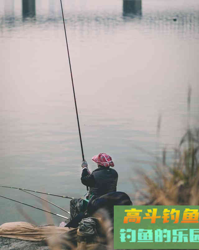 为啥打完窝子，鱼儿还不咬钩？原来是跟竿长有关系