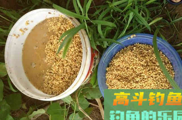 野钓过程中，请牢牢记住的4个打窝的步骤与技巧
